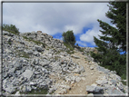 foto Dal Passo Vezzena al Pizzo di Levico